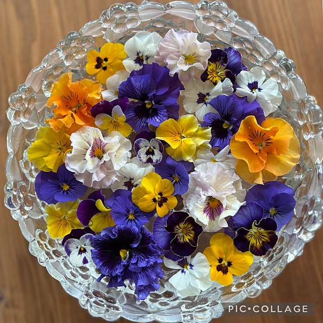 Smilkazuさんの実例写真