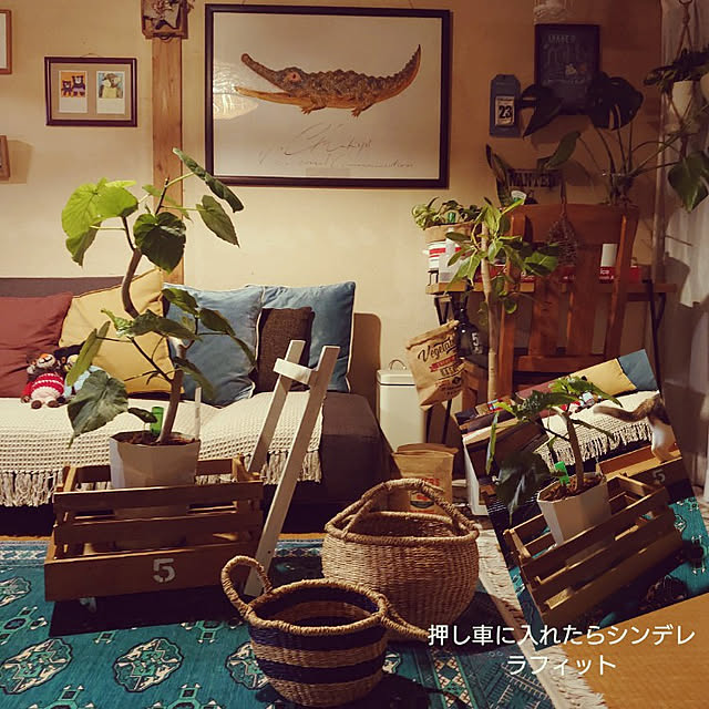 fukuさんの実例写真