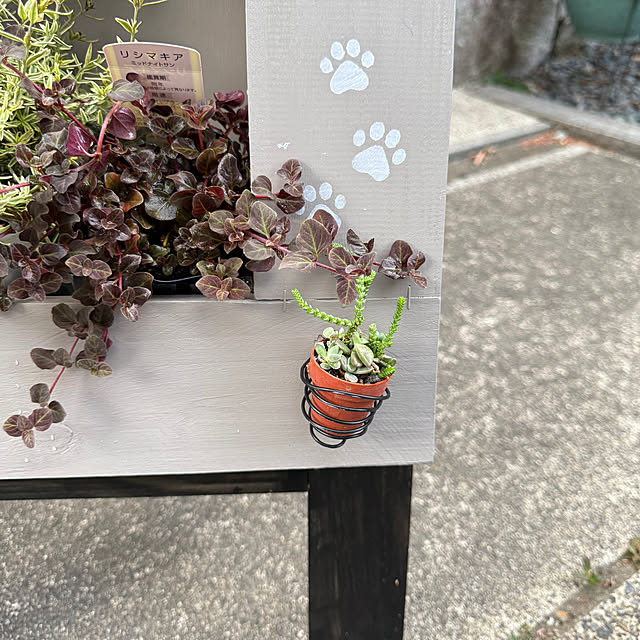 m-poem-cooさんの部屋