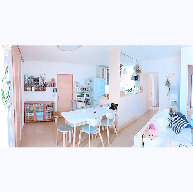 実例写真