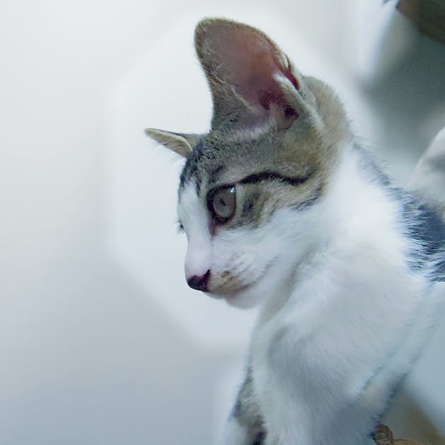 amoさんの実例写真