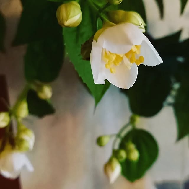 anzmama0404さんの部屋