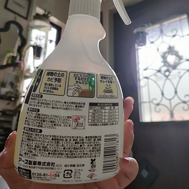 napiさんの部屋