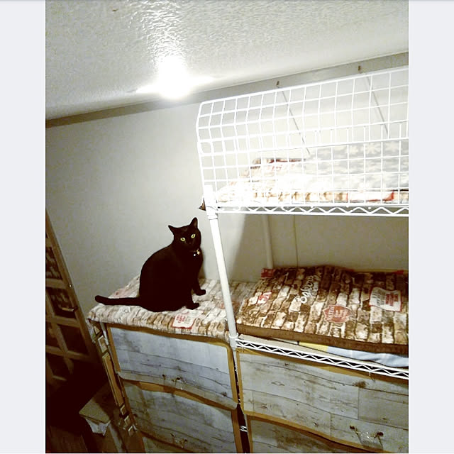 mntcさんの実例写真