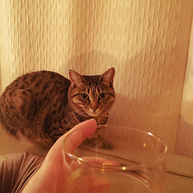 Mさんの実例写真