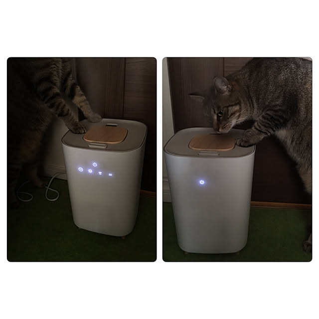 mikomaruさんの実例写真