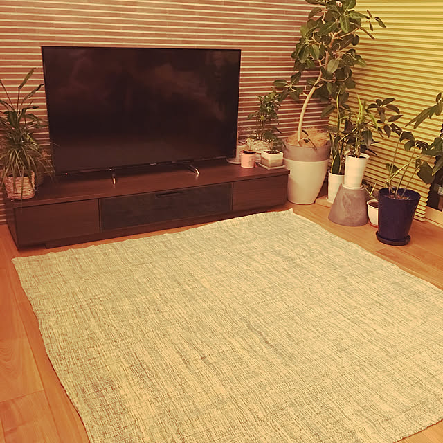 ma-shuさんの実例写真