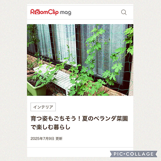 yumi.fさんの部屋