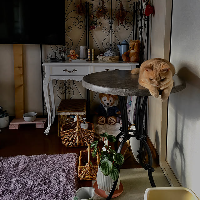 naokoさんの実例写真