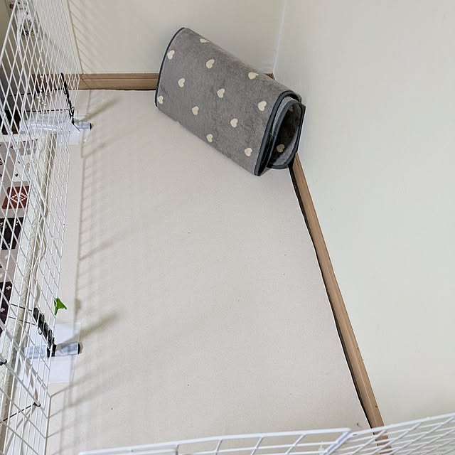 asaさんの部屋