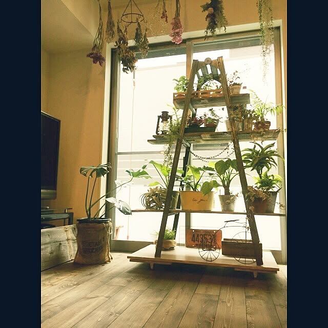cocco0505さんの実例写真