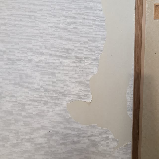 anayoikoさんの実例写真