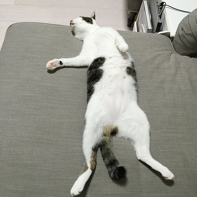 yuchiさんの実例写真