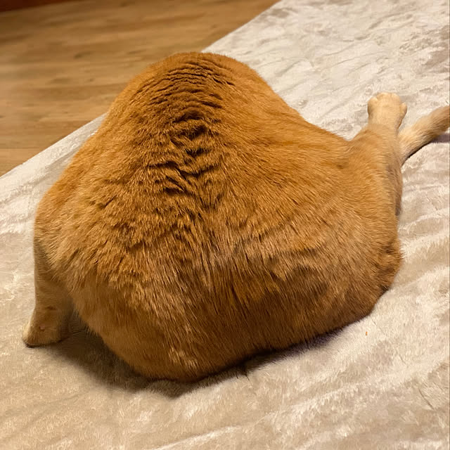 rioさんの実例写真