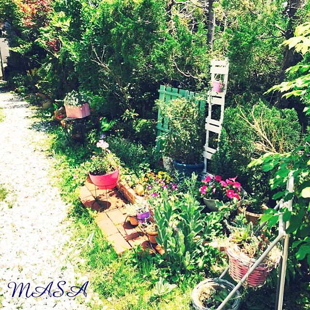 MASAさんの実例写真