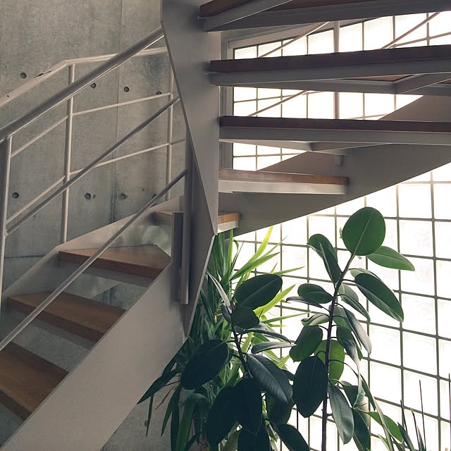 玄関/入り口/植物のインテリア実例 - 2015-01-31 13:16:21