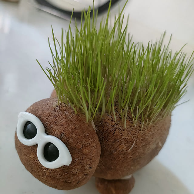 yuriさんの実例写真