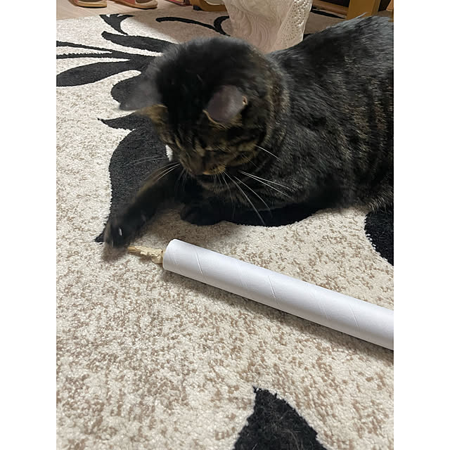 momocchiさんの部屋
