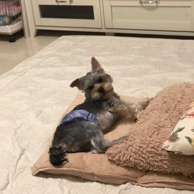 msさんの部屋