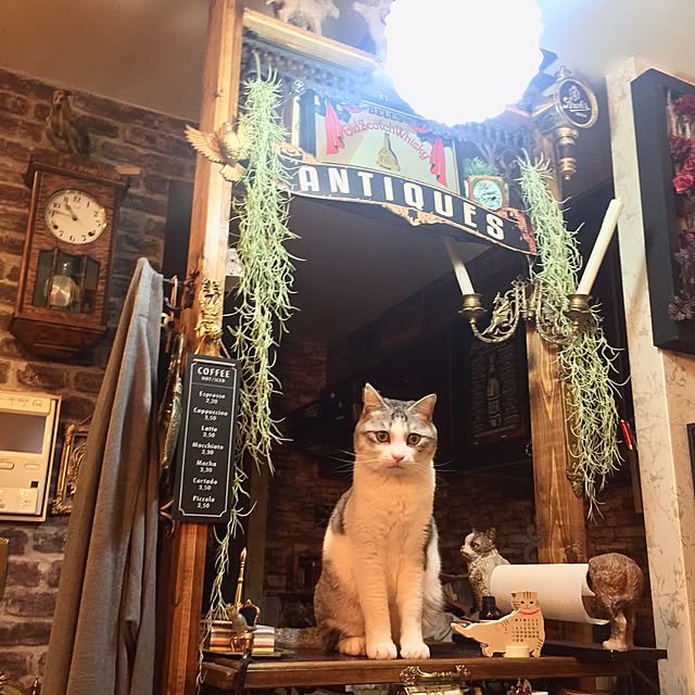 emmyyさんの実例写真