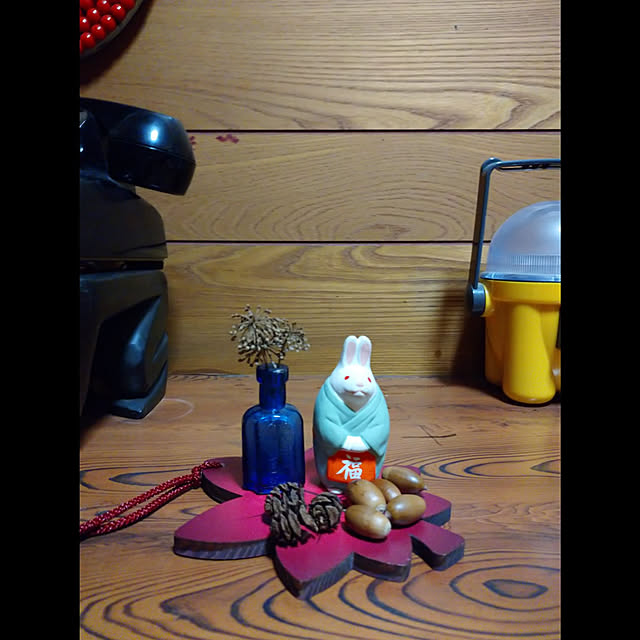 kougaitaさんの実例写真