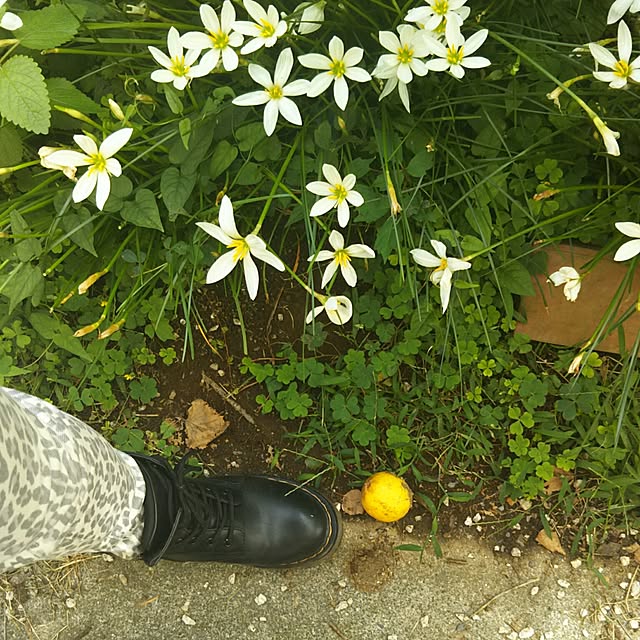 実例写真