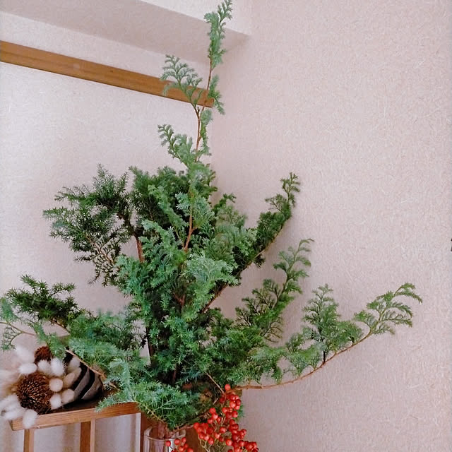 ukiukiさんの実例写真