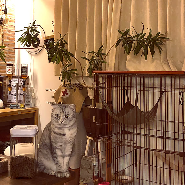 yokkochanさんの実例写真