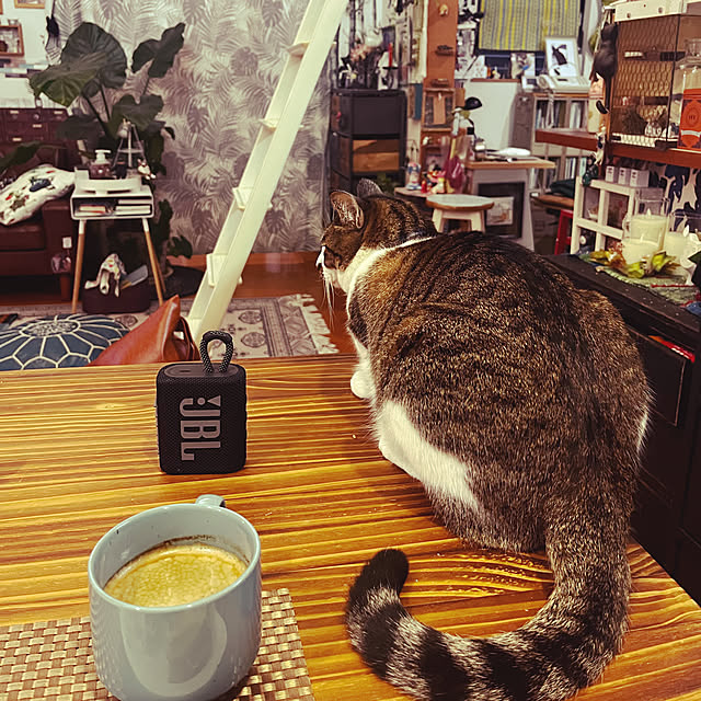 jijiさんの実例写真