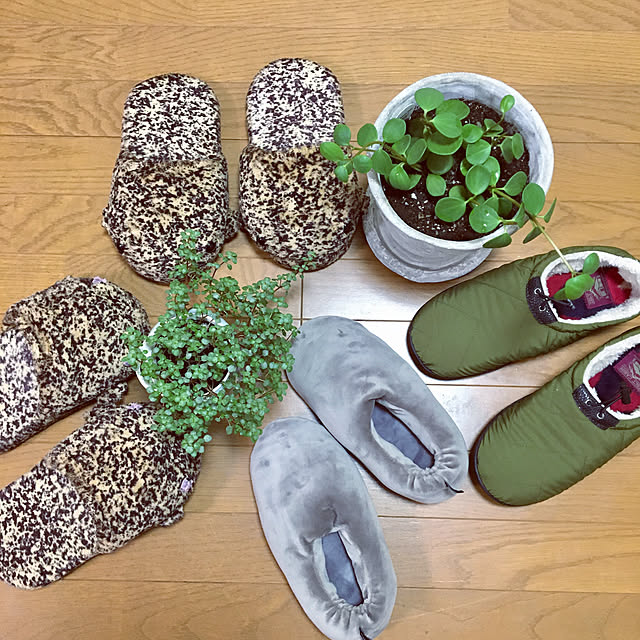 y---iさんの実例写真