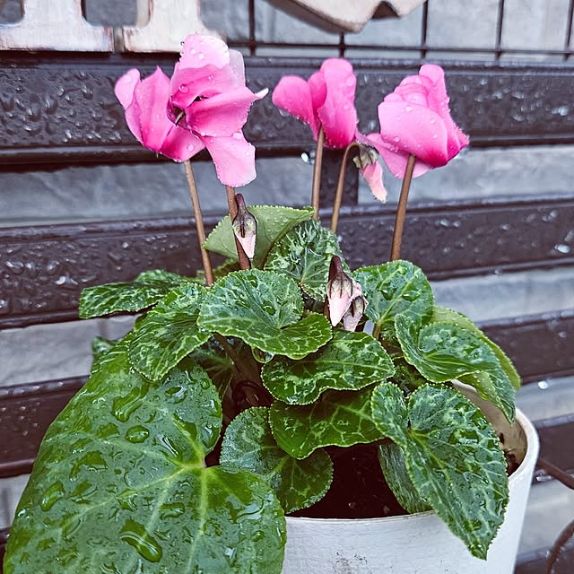 mocomocoさんの部屋
