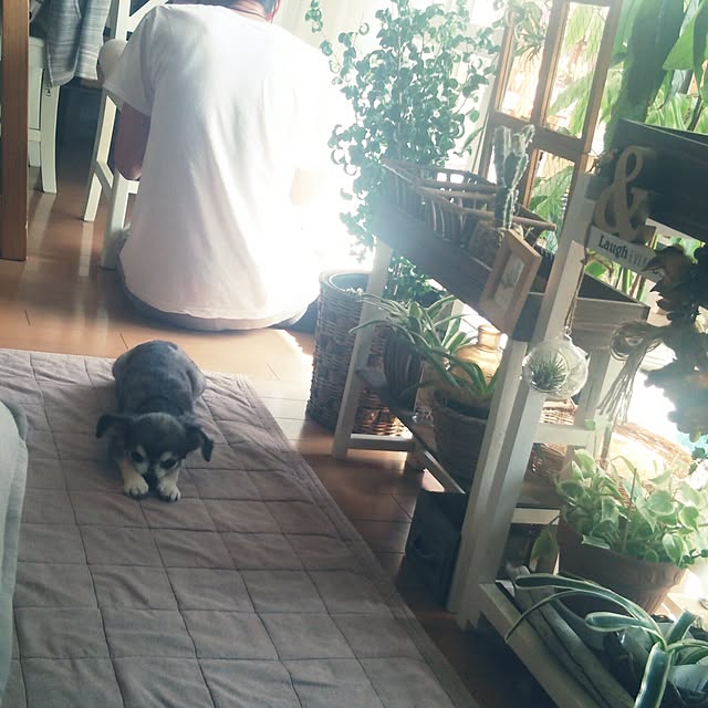 satominさんの実例写真