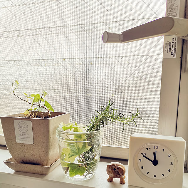 キッチン/IKEA/北欧/リサラーソン/観葉植物のインテリア実例 - 2019-04-14 11:57:31