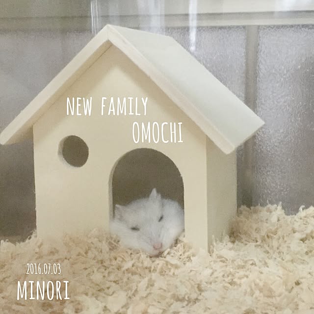 Minoriさんの実例写真