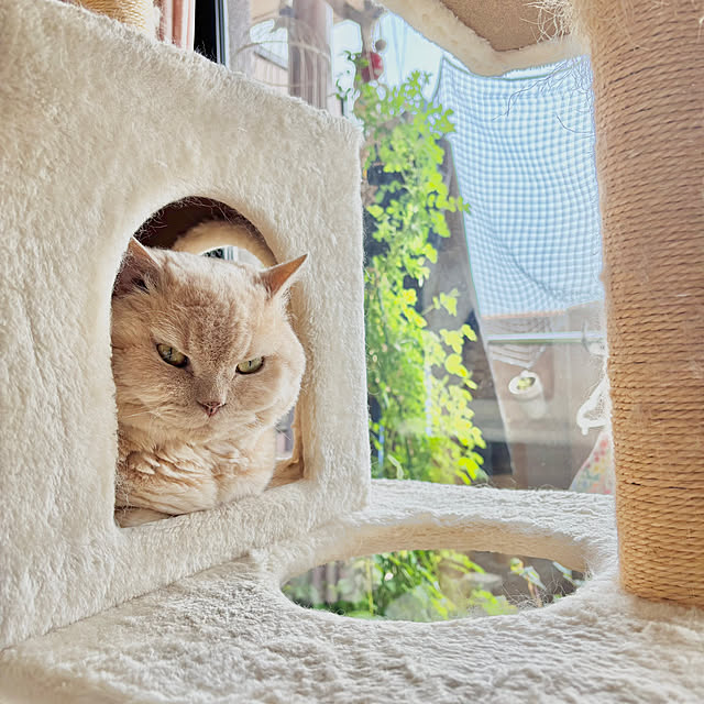 naokoさんの部屋