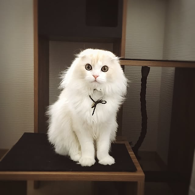 luna.comさんの実例写真