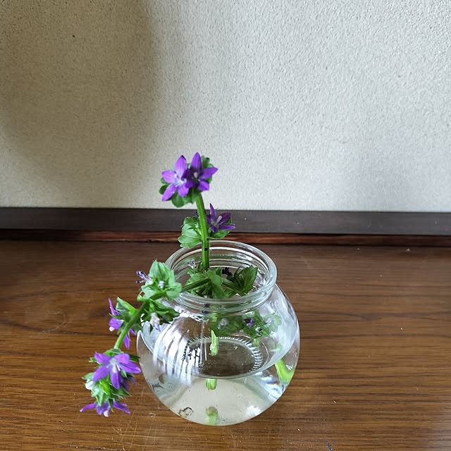 sumimarumiさんの部屋