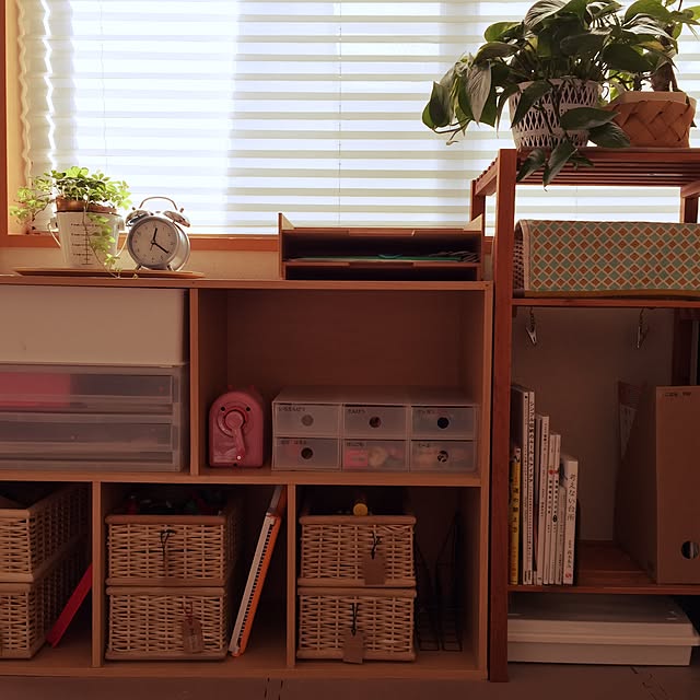 棚のインテリア実例 - 2016-02-19 12:25:11