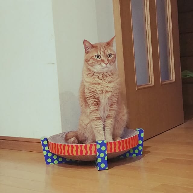 mamitasuさんの実例写真