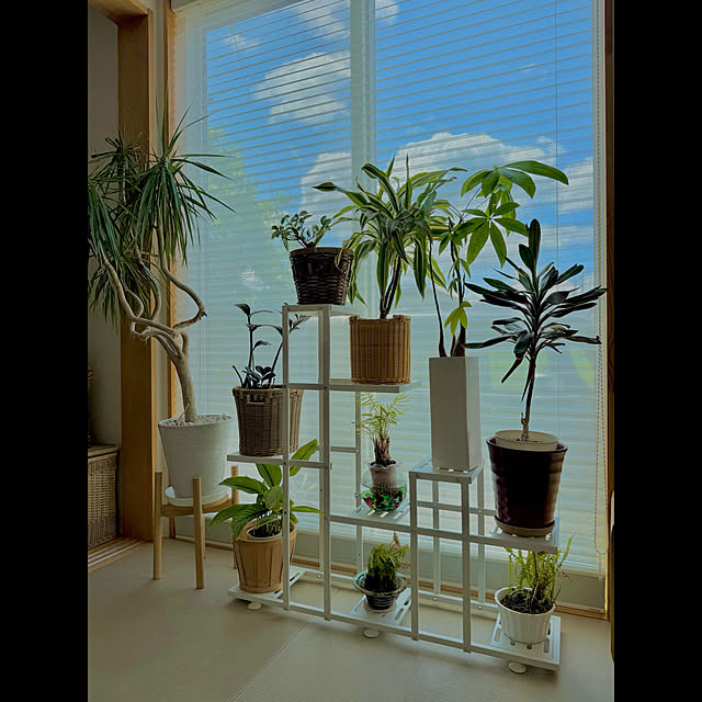 tamabaka1971さんの部屋