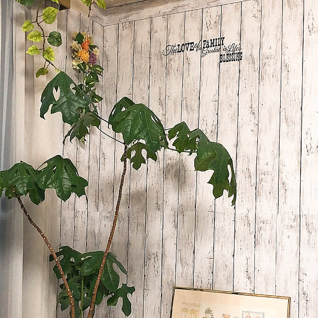 N.roomさんの実例写真