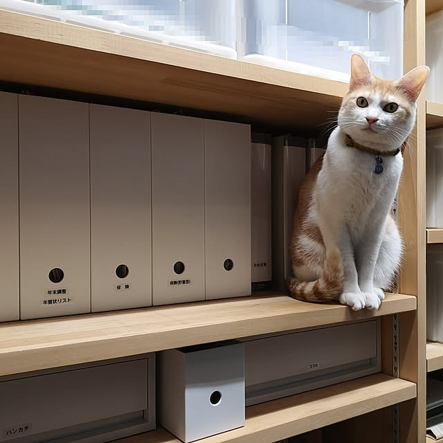 koyurizuさんの部屋