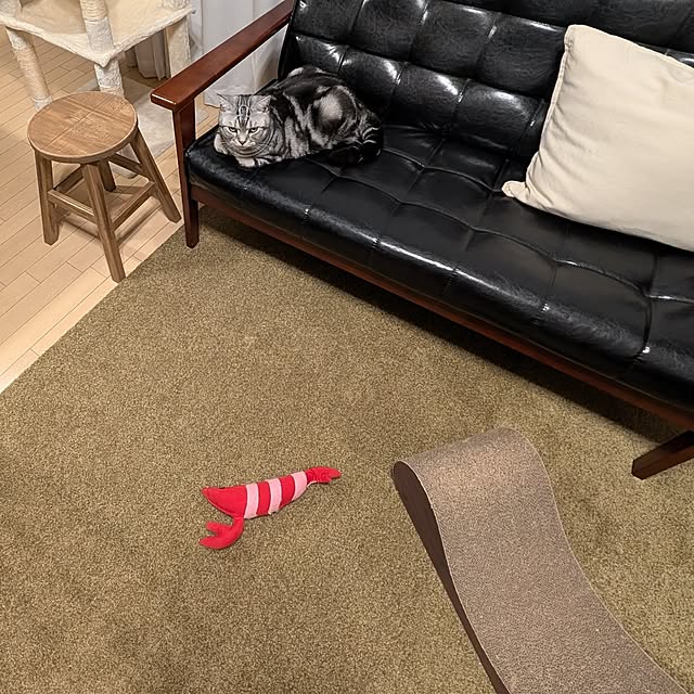 lovepeaceさんの部屋