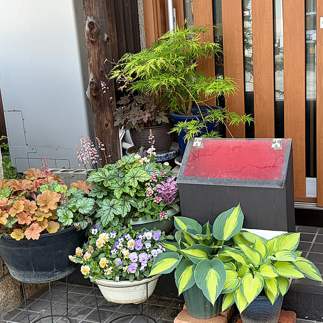 buchiさんの実例写真