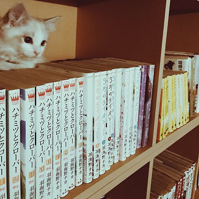Chekaさんの実例写真