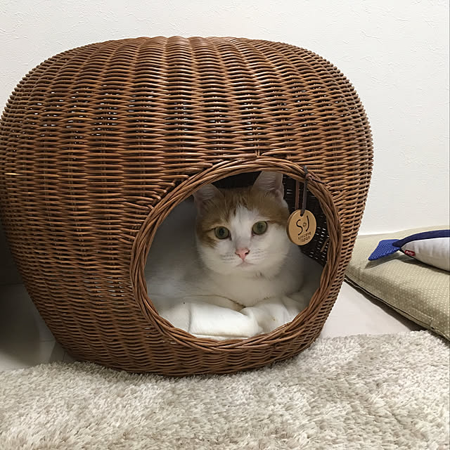 bikkeさんの実例写真