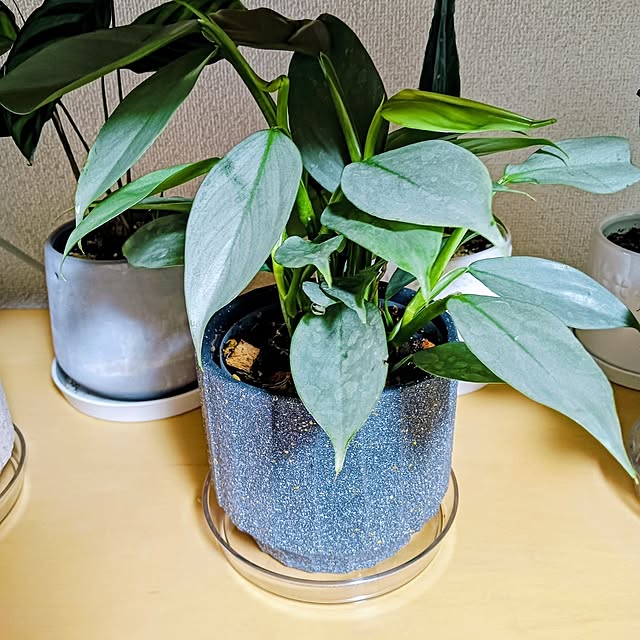 hanachanさんの部屋