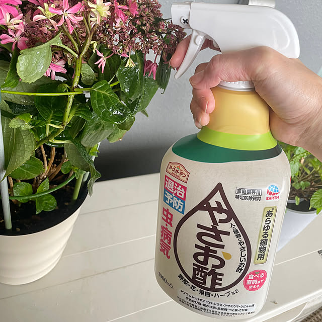 tina315mhさんの実例写真
