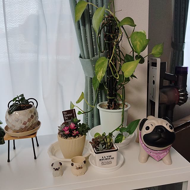 hanamocoさんの実例写真