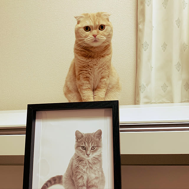 madrigal.Dさんの実例写真